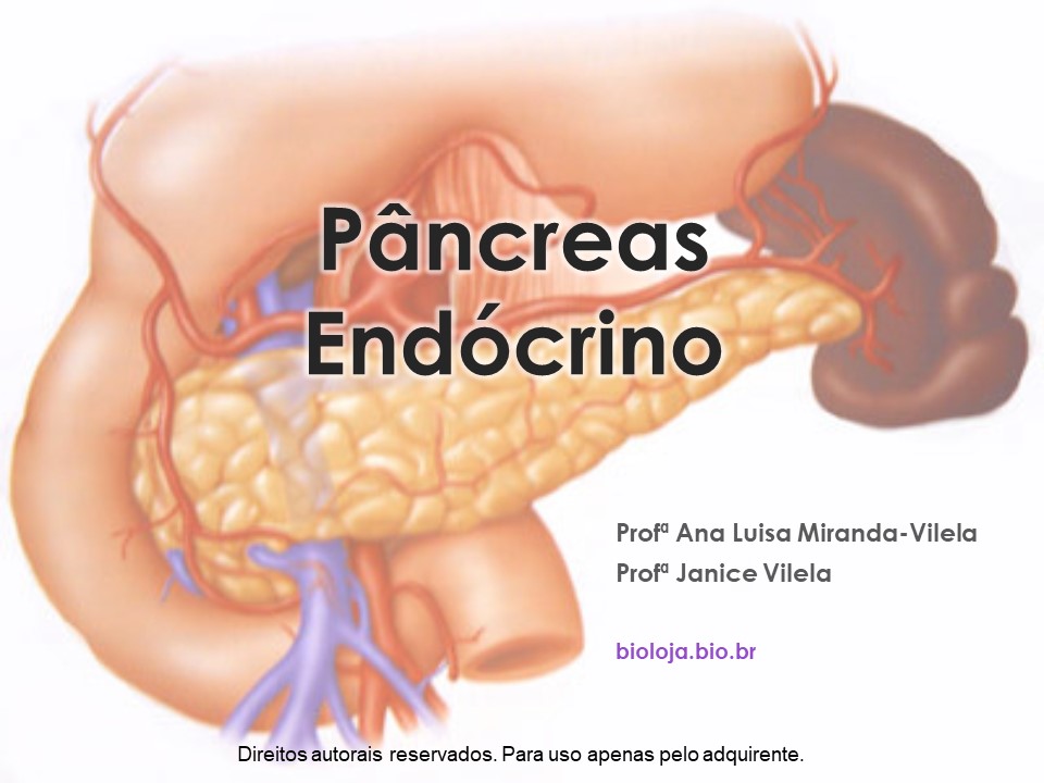 Pâncreas endócrino slide 0