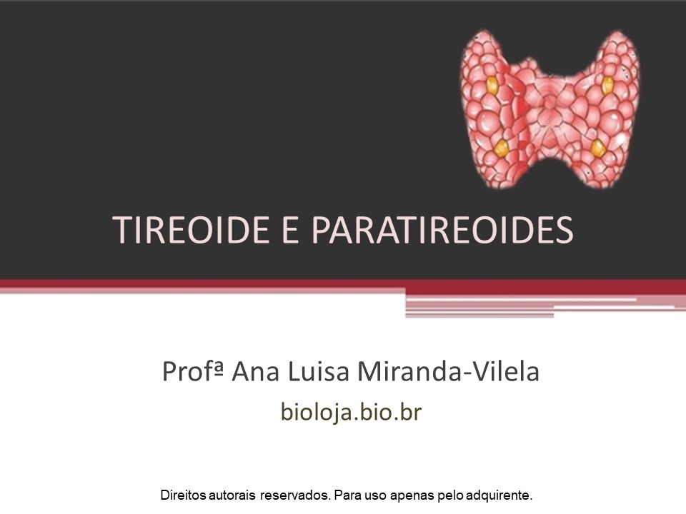 Tireoide e paratireoides slide 0