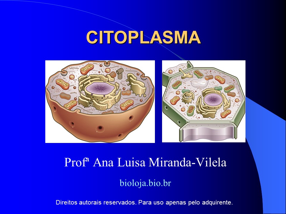 Citoplasma slide 0