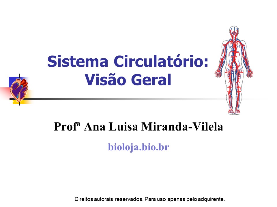 Sistema circulatório: visão geral slide 0