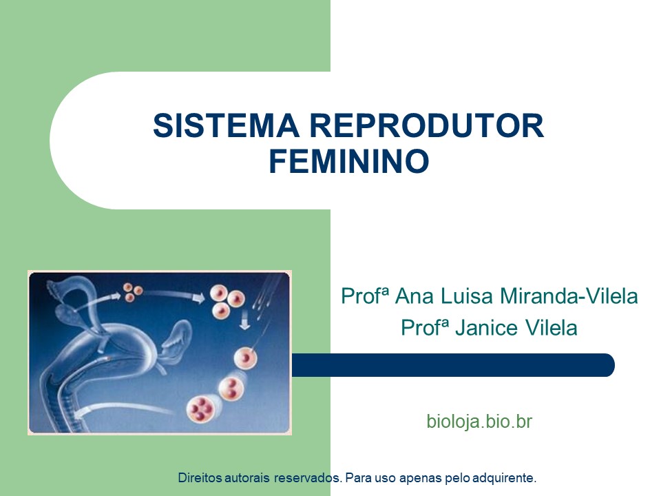 Sistema reprodutor feminino slide 0