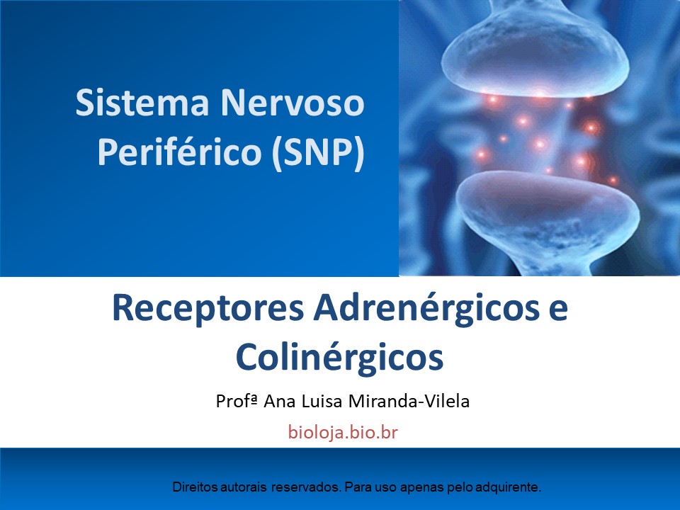 Sistema nervoso periférico: receptores adrenérgicos e colinérgicos slide 0
