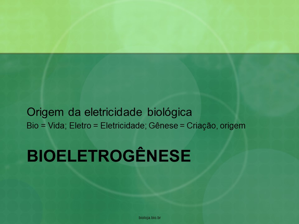 Bioeletrogênese slide 1
