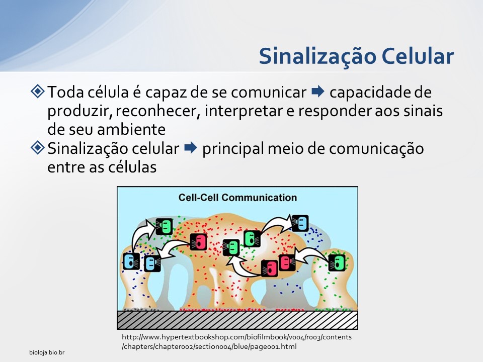 Sinalização Celular slide 1