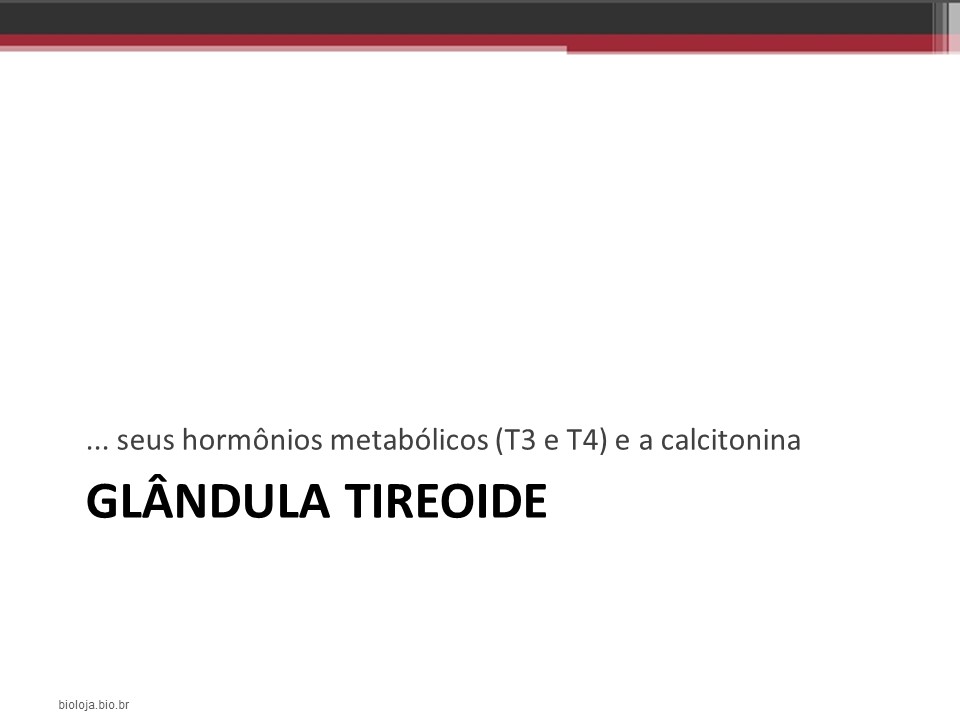 Tireoide e paratireoides slide 1