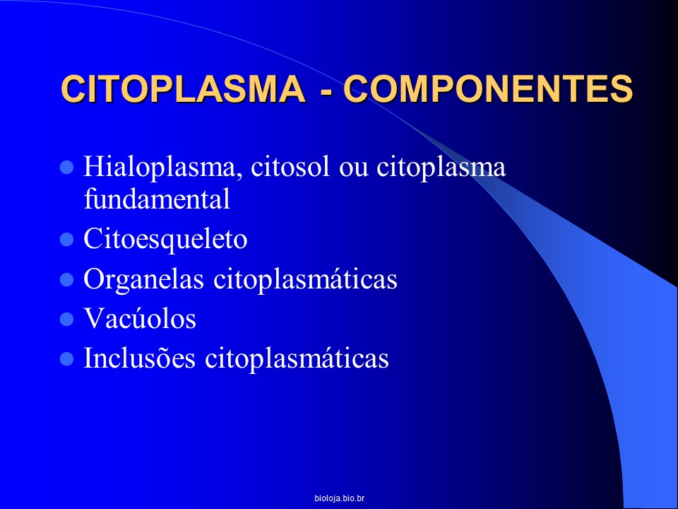 Citoplasma slide 1