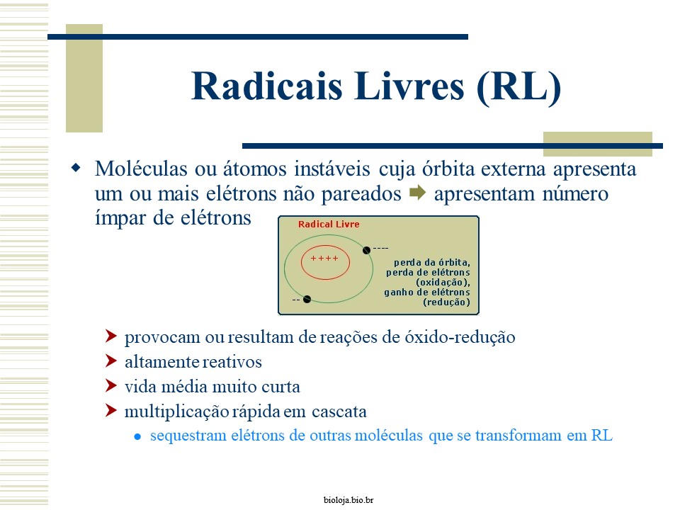 Radicais livres x antioxidantes slide 1