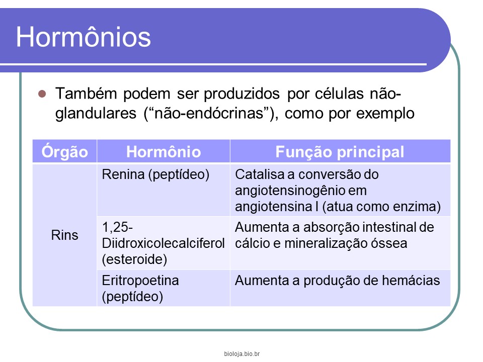 Introdução à endocrinologia slide 2