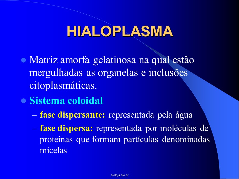 Citoplasma slide 2