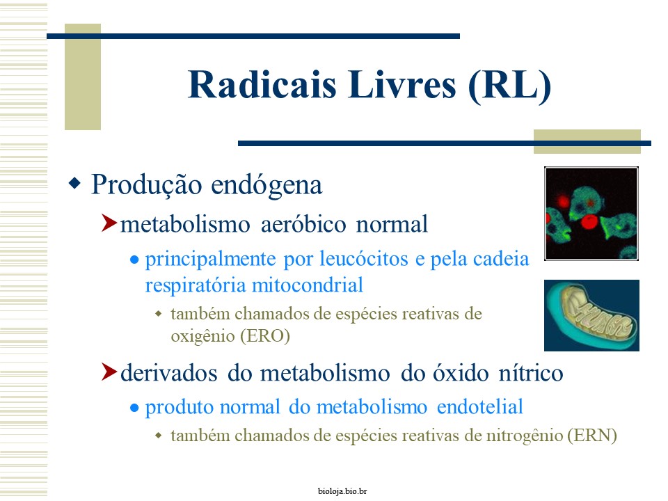 Radicais livres x antioxidantes slide 2