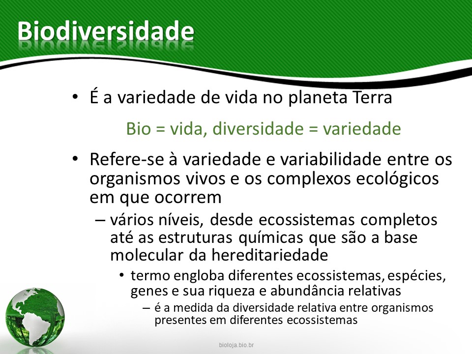 Biodiversidade vegetal e sua importância ecológica e econômica slide 2