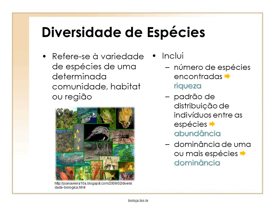 Conceitos e estimativas de biodiversidade slide 3