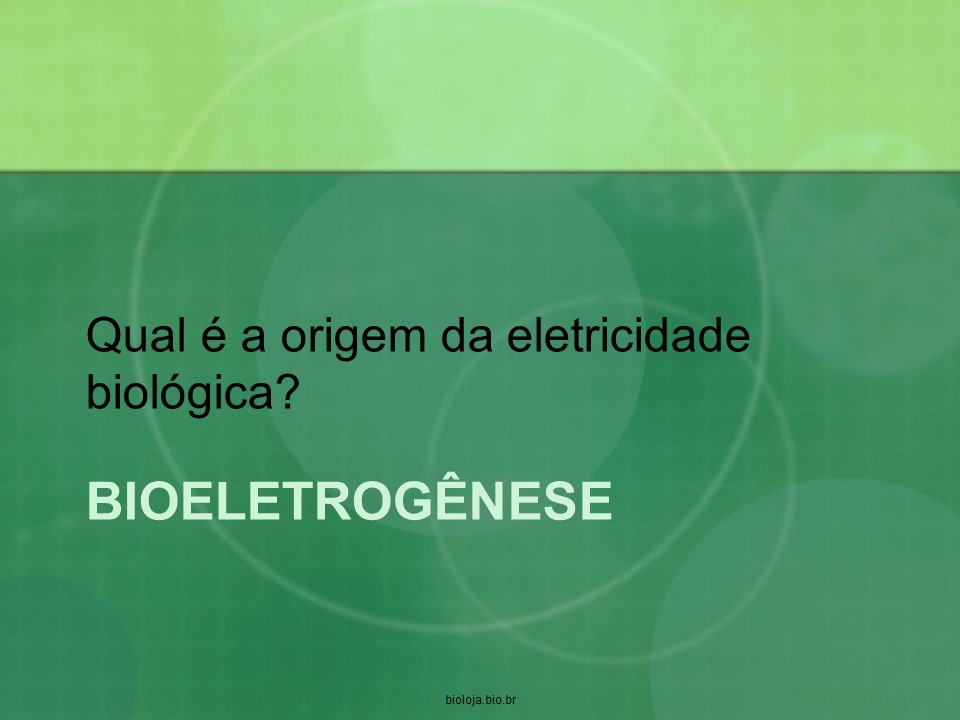 Bioeletrogênese slide 3