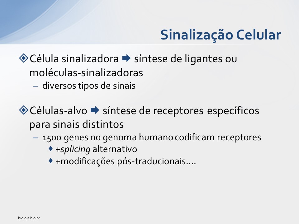 Sinalização Celular slide 3