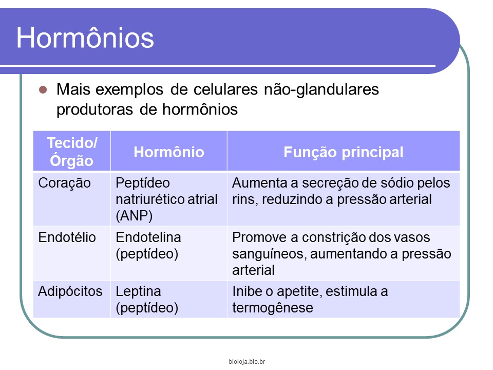 Introdução à endocrinologia slide 3