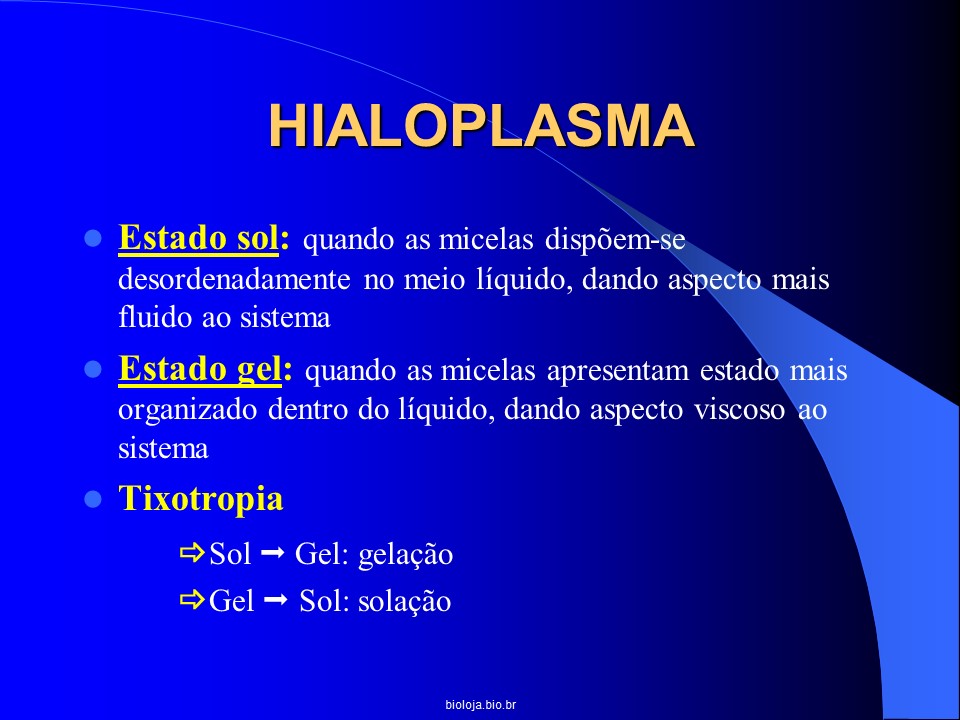 Citoplasma slide 3
