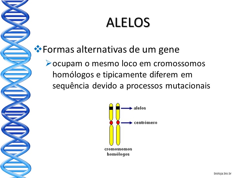 Conceitos básicos em genética slide 4