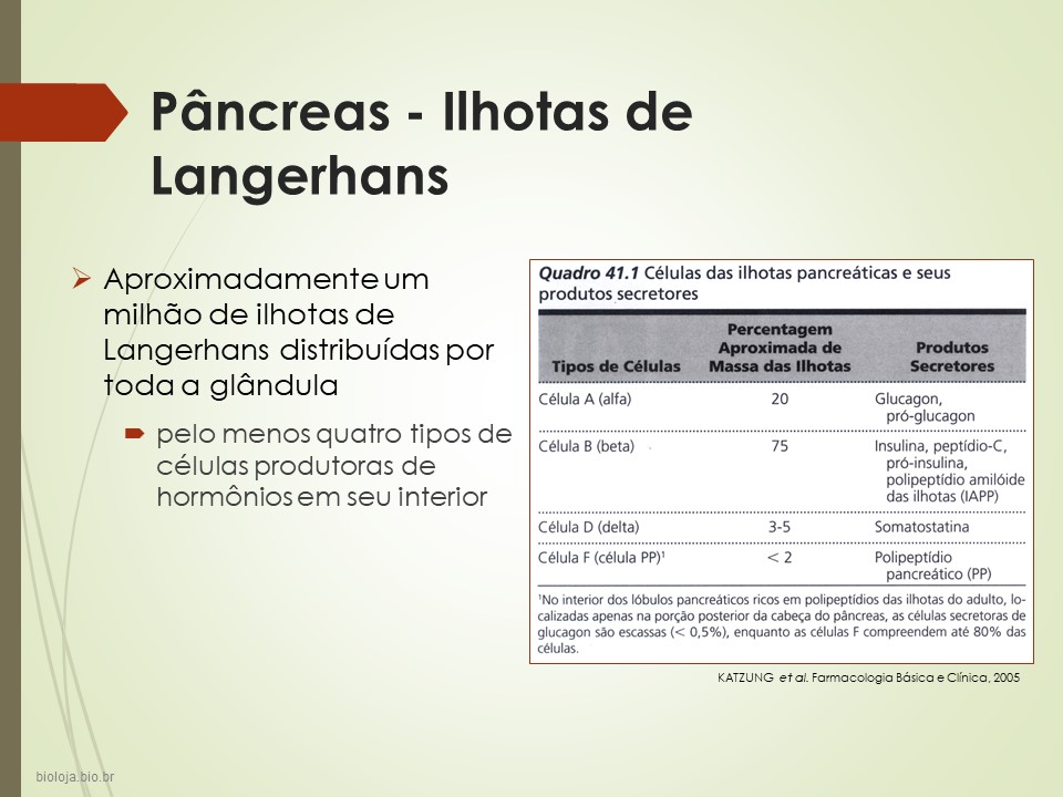 Pâncreas endócrino slide 4