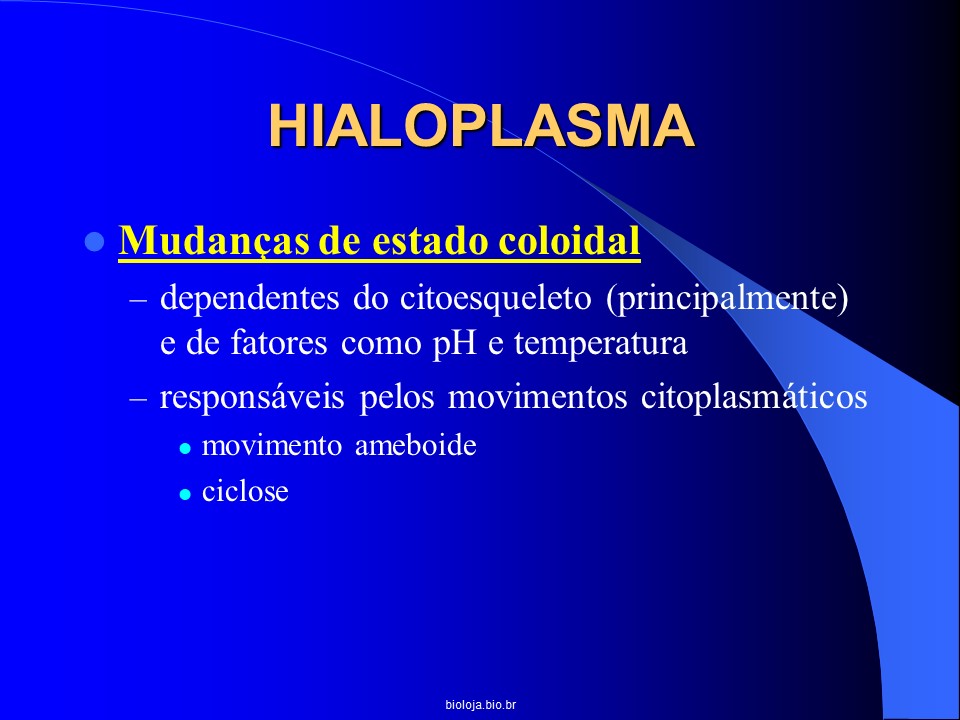 Citoplasma slide 4