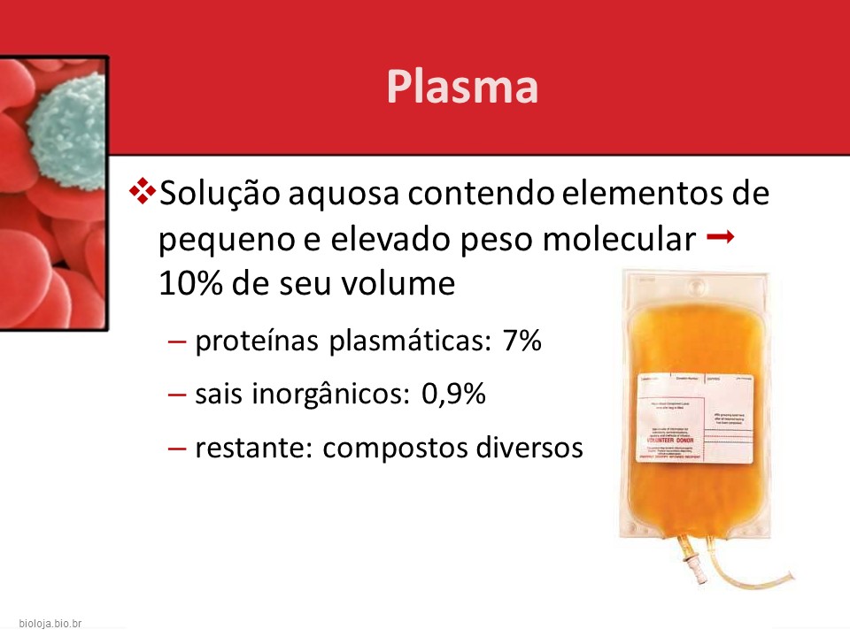 Introdução à hematologia slide 4