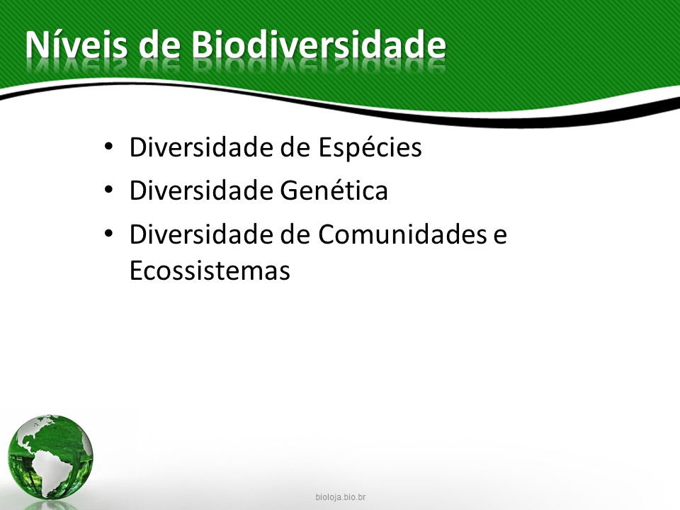 Biodiversidade vegetal e sua importância ecológica e econômica slide 4