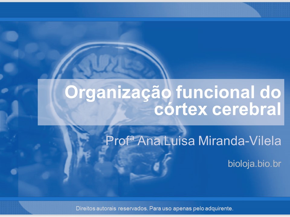 Organização funcional do córtex cerebral slide 0
