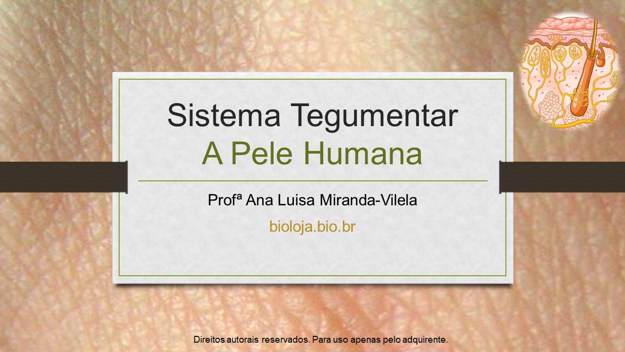 Sistema tegumentar: a pele humana slide 0