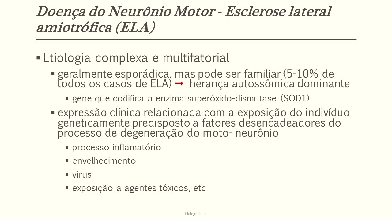 Esclerose Lateral amiotrófica (ELA) slide 2