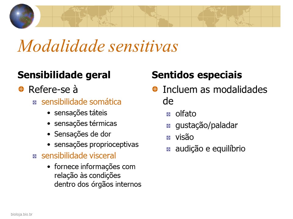 Sistema sensorial 3: os sentidos somáticos slide 3
