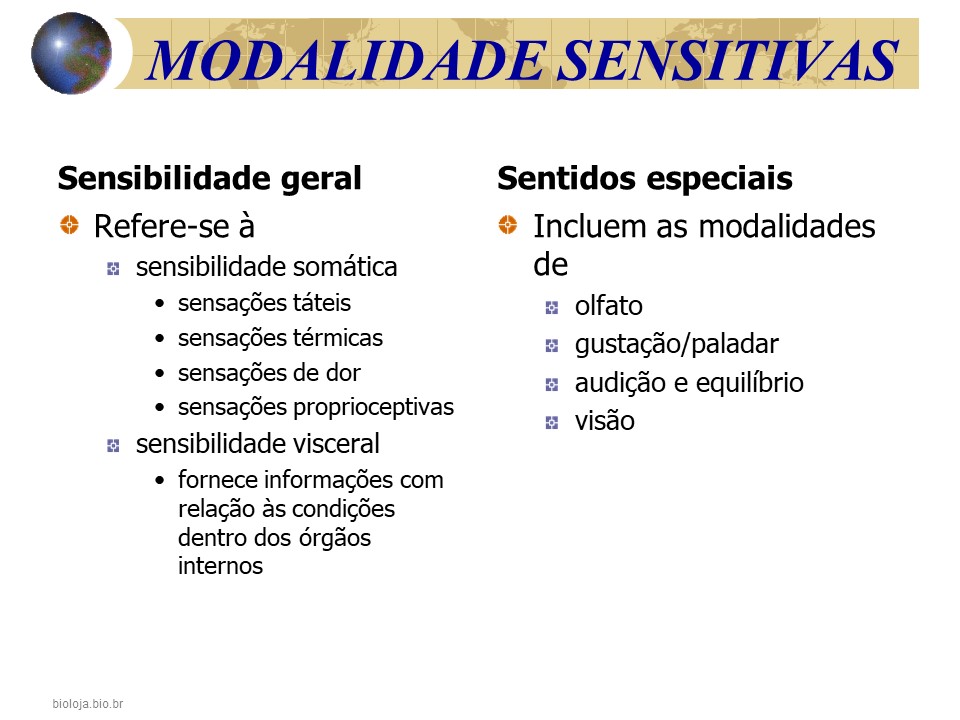 Sistema sensorial 1- olfação, gustação e paladar slide 3