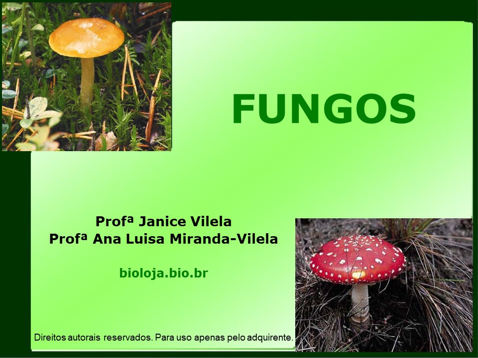 Fungos slide 0