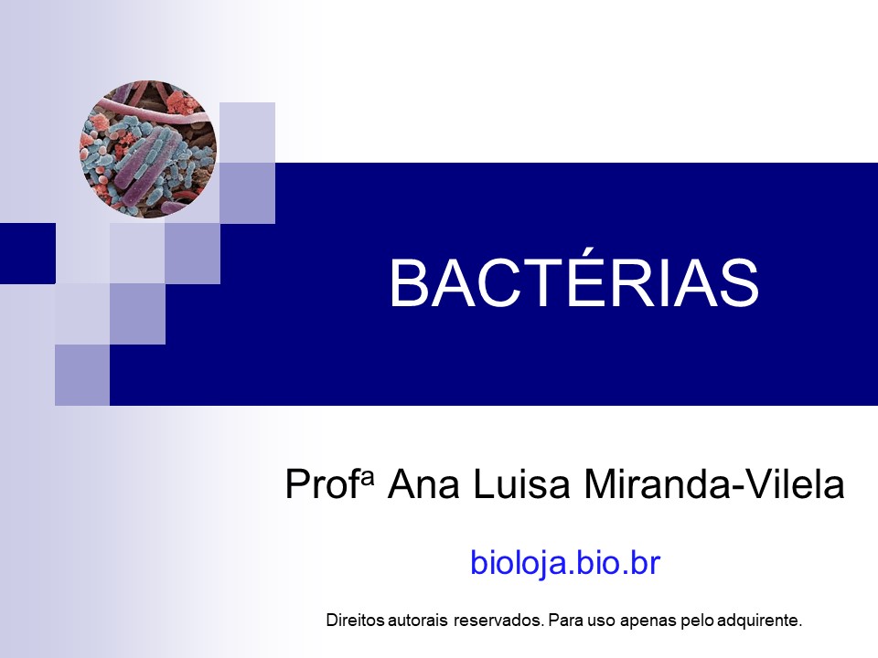 Bactérias slide 0