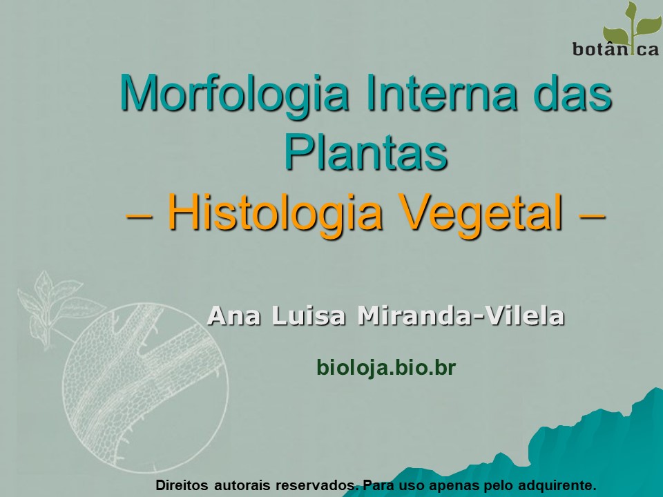 Morfologia interna das plantas (histologia vegetal) slide 0