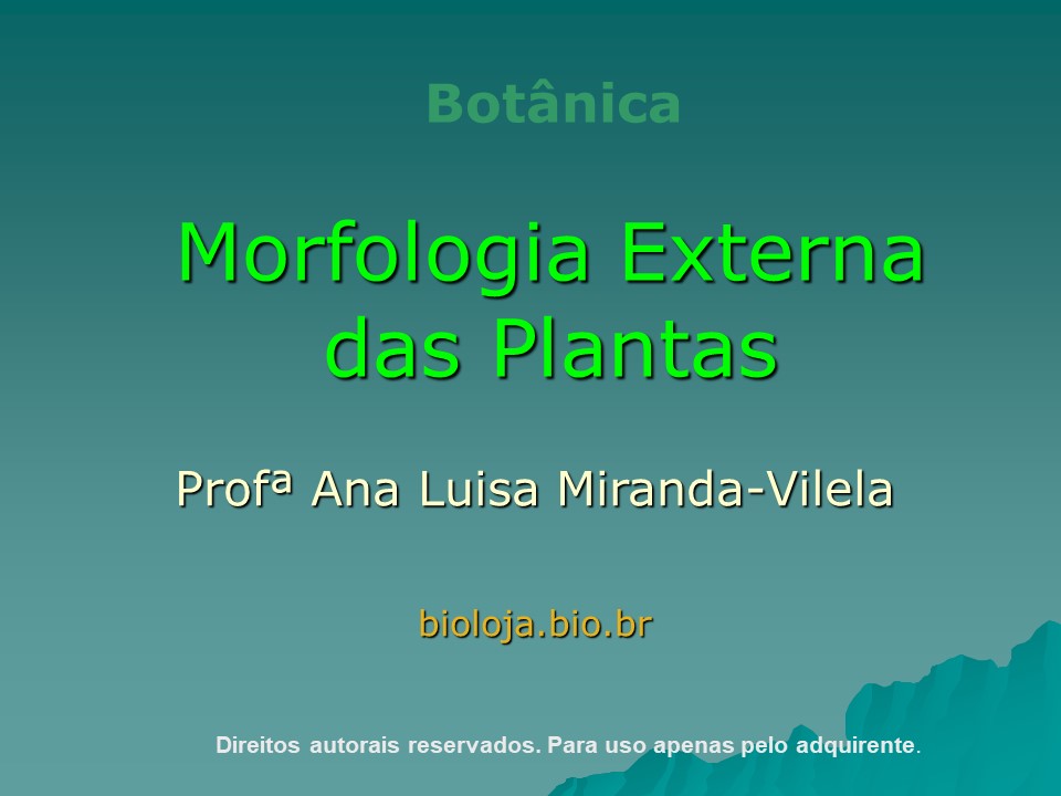 Morfologia externa das plantas slide 0