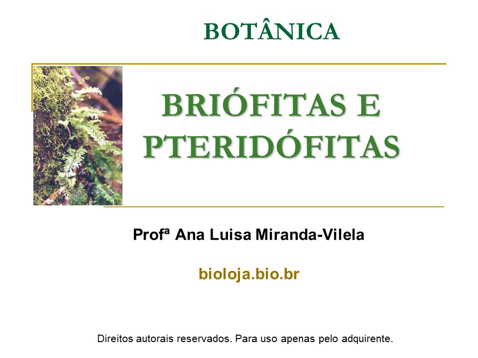 Briófitas e Pteridófitas slide 0