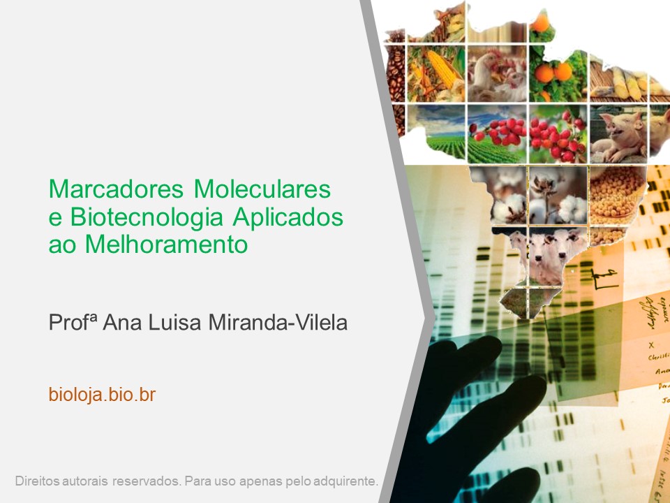 Marcadores moleculares e biotecnologia aplicados ao melhoramento slide 0