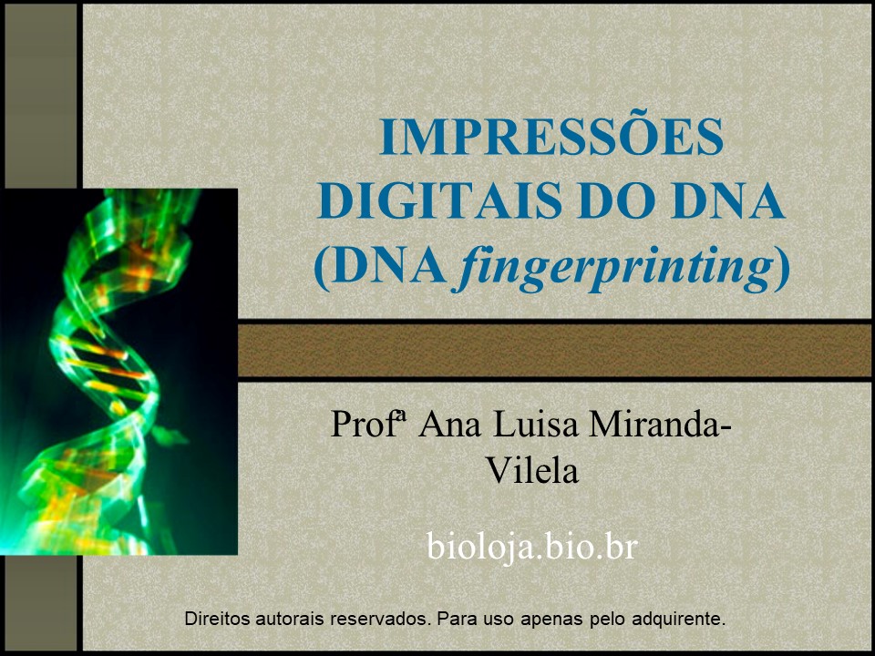 Impressões digitais do DNA (DNA fingerprinting) slide 0