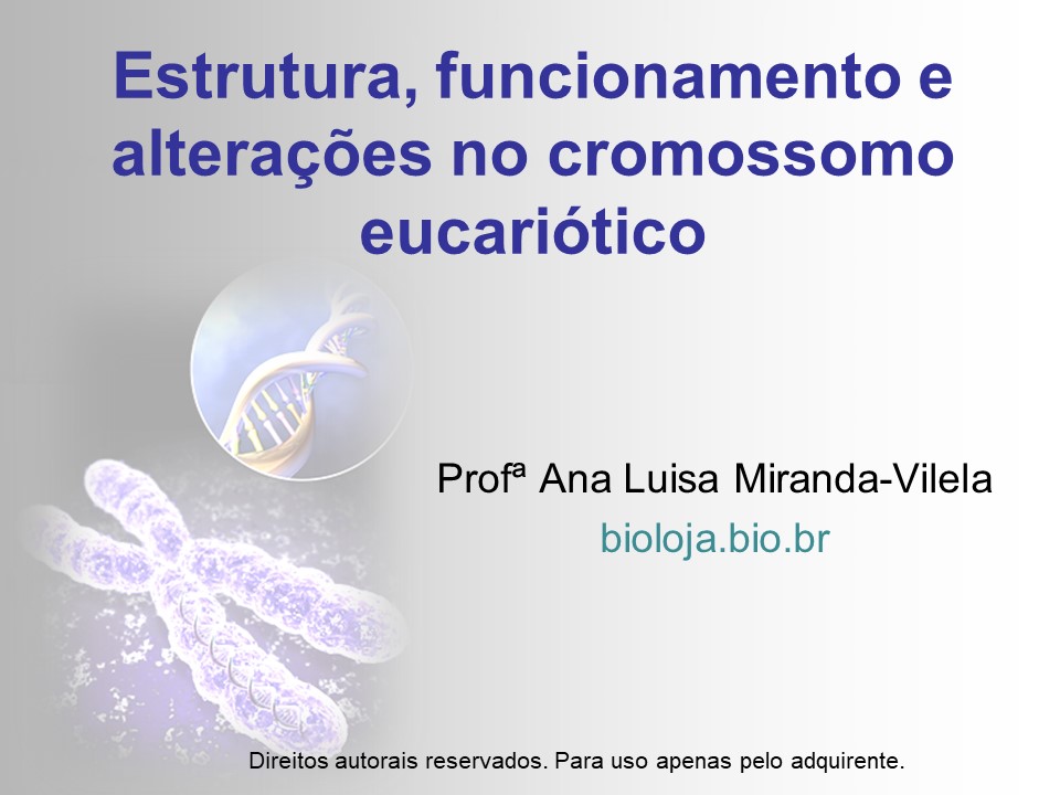 Estrutura, funcionamento e alterações no cromossomo eucariótico slide 0