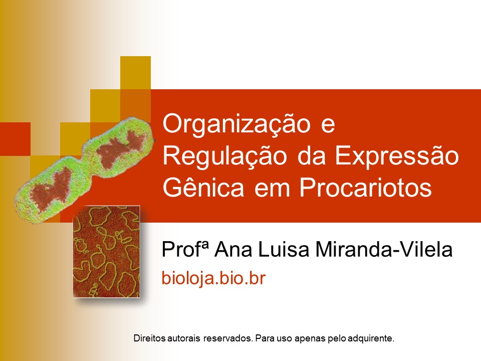 Organização gênica e regulação da expressão em procariotos slide 0