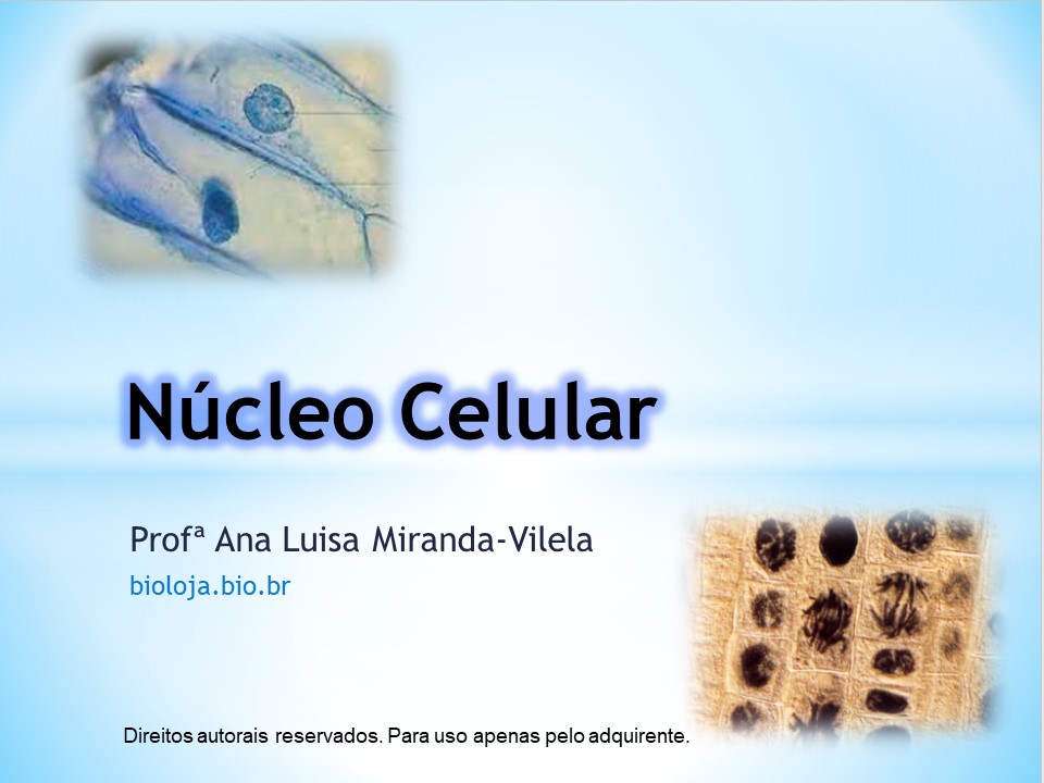 Núcleo celular slide 0