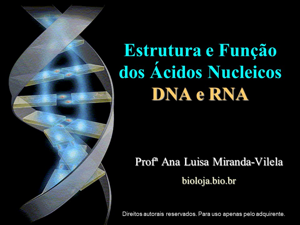 Estrutura e função dos ácidos nucleicos slide 0