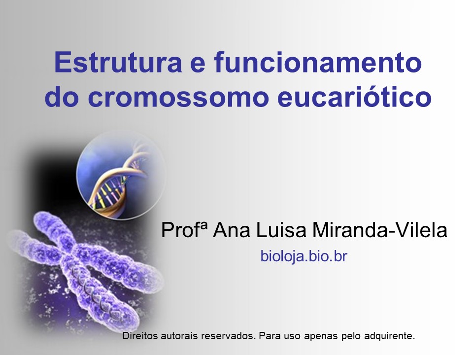 Estrutura e funcionamento do cromossomo eucariótico slide 0