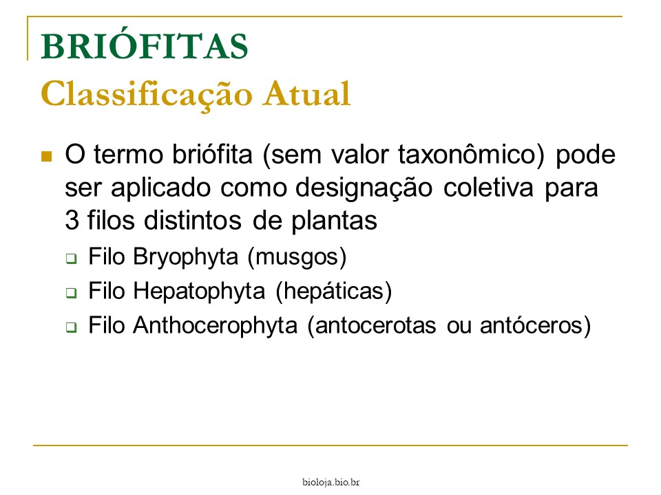 Briófitas e Pteridófitas slide 1