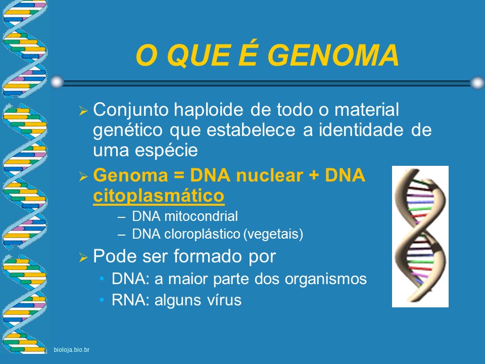 Genoma humano slide 1