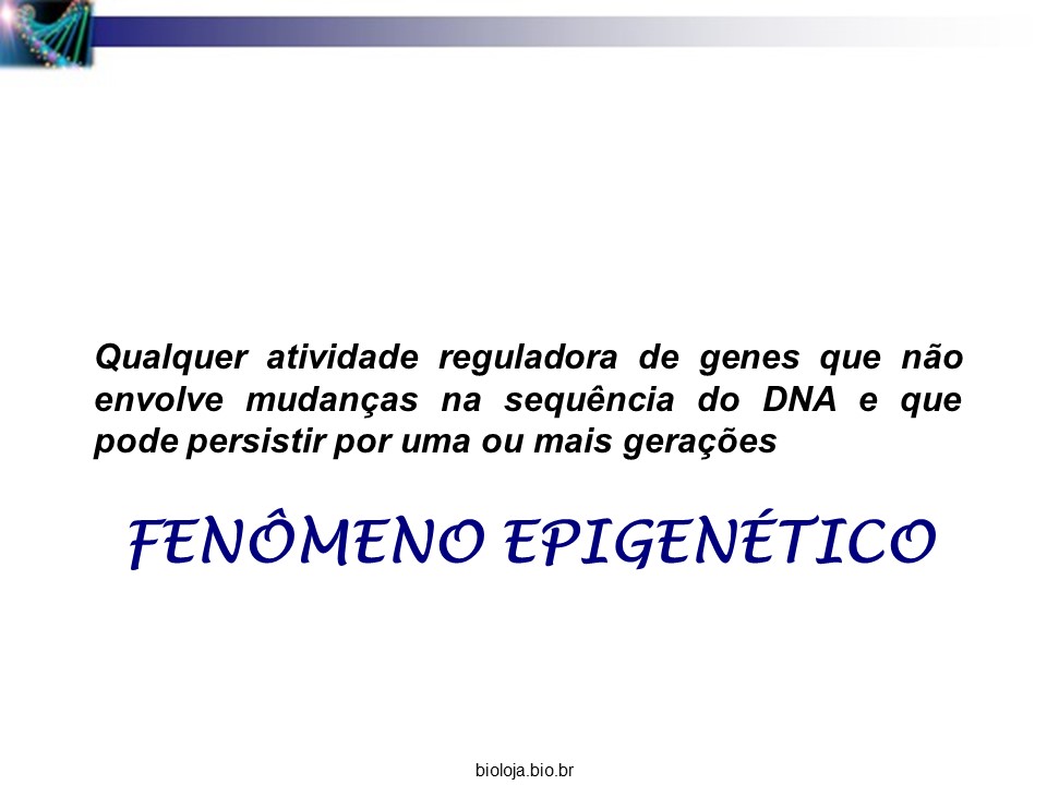Herança epigenética slide 1