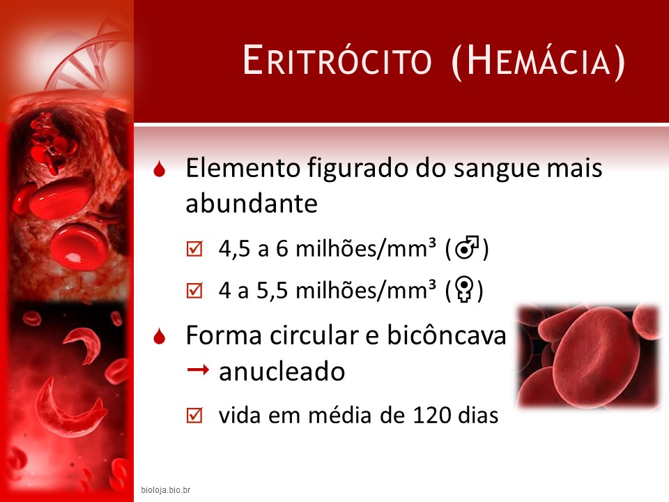 Hemoglobinas e hemoglobinopatias slide 1