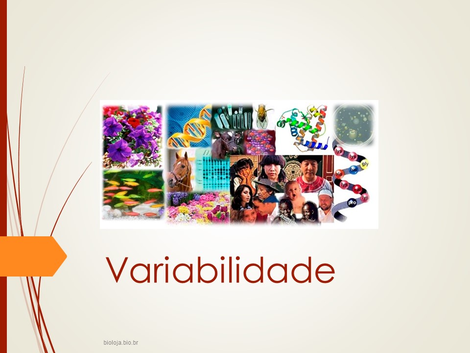 Princípios de evolução: variabilidade, seleção e adaptação slide 1