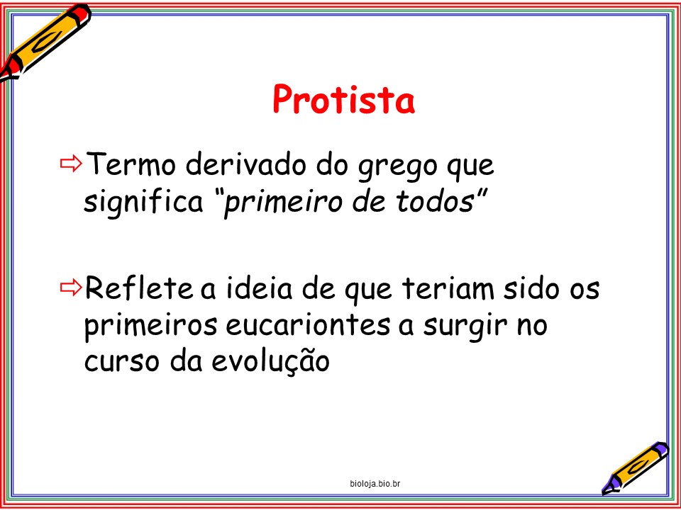 Protozoários slide 1