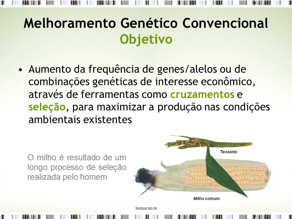 Bases genéticas do melhoramento animal e vegetal slide 2