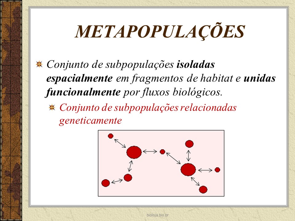 Genética de metapopulações slide 2